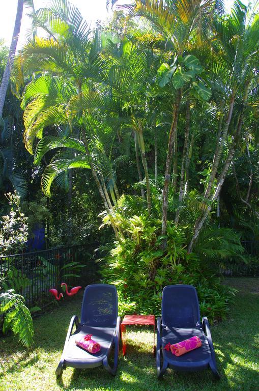 Pink Flamingo Resort Port Douglas Ngoại thất bức ảnh