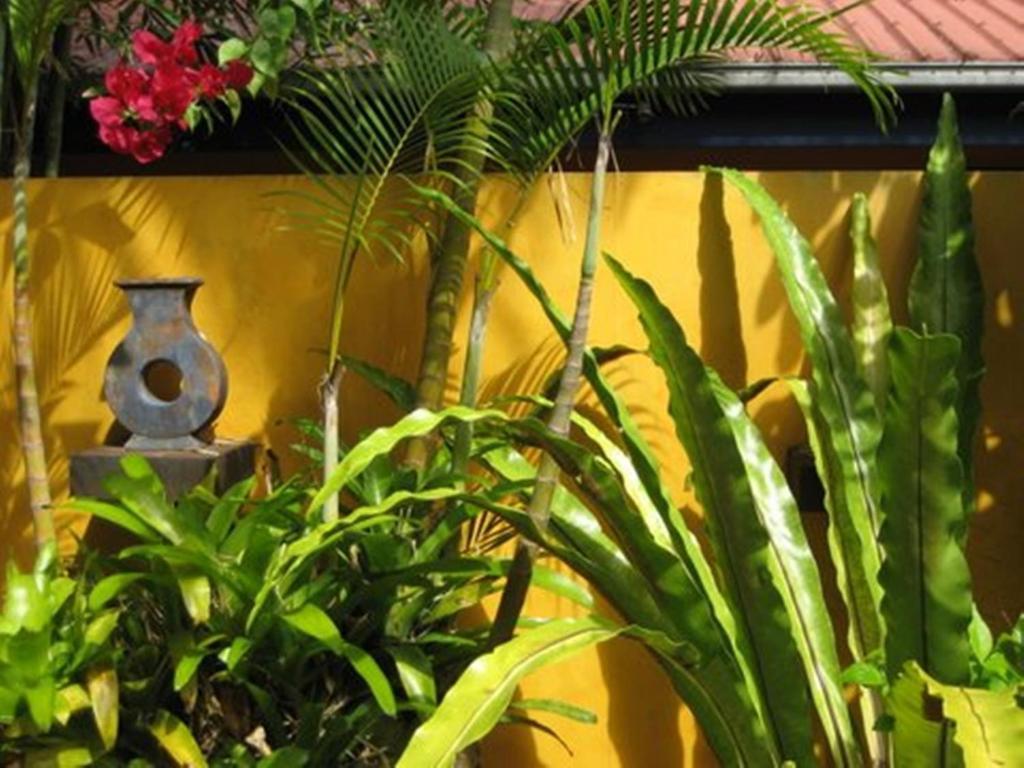 Pink Flamingo Resort Port Douglas Ngoại thất bức ảnh