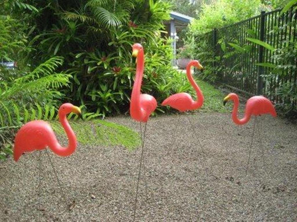 Pink Flamingo Resort Port Douglas Ngoại thất bức ảnh