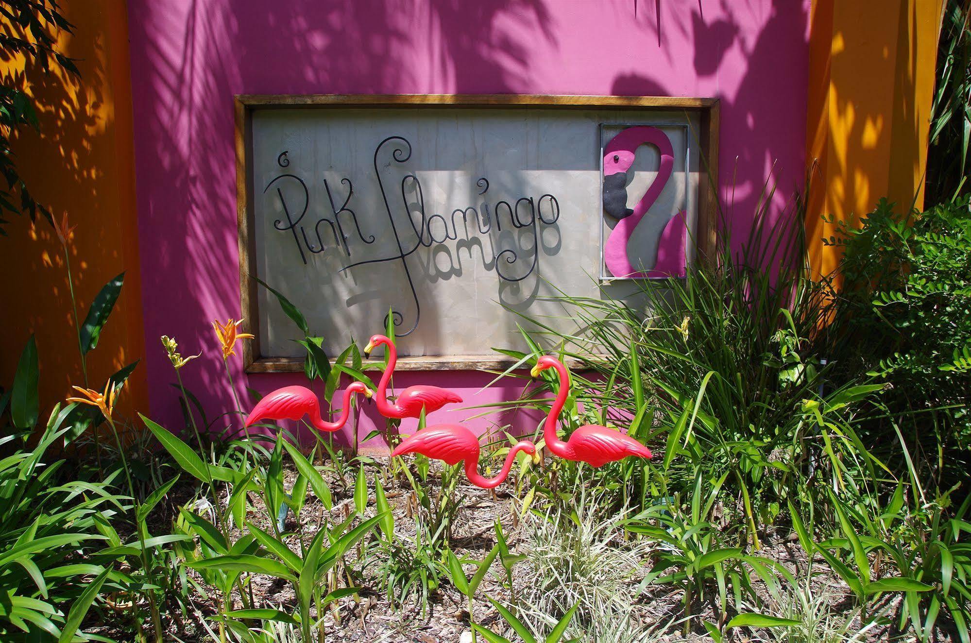 Pink Flamingo Resort Port Douglas Ngoại thất bức ảnh